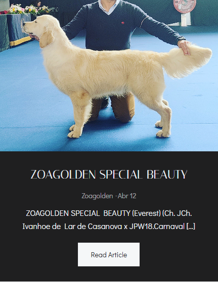 ZOAGOLDEN SPECIAL BEAUTY (Everest) miniatura